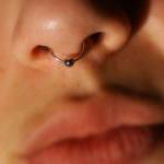 Septum Nose Ring Cuff With Ball (silver) - No..