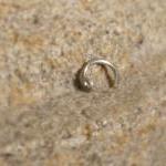 Nose Ring Cuff (silver) Body Jewelry - No Piercing..